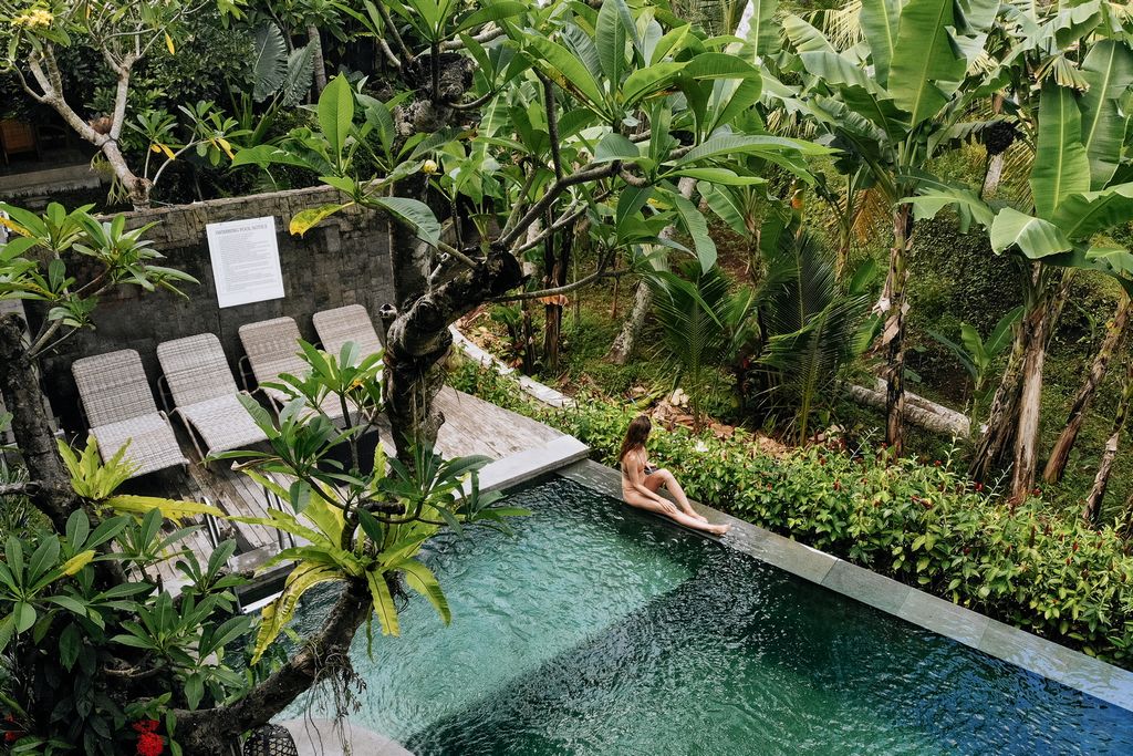 Design de piscine nature