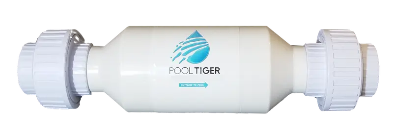 Pool Tiger Pool Tiger