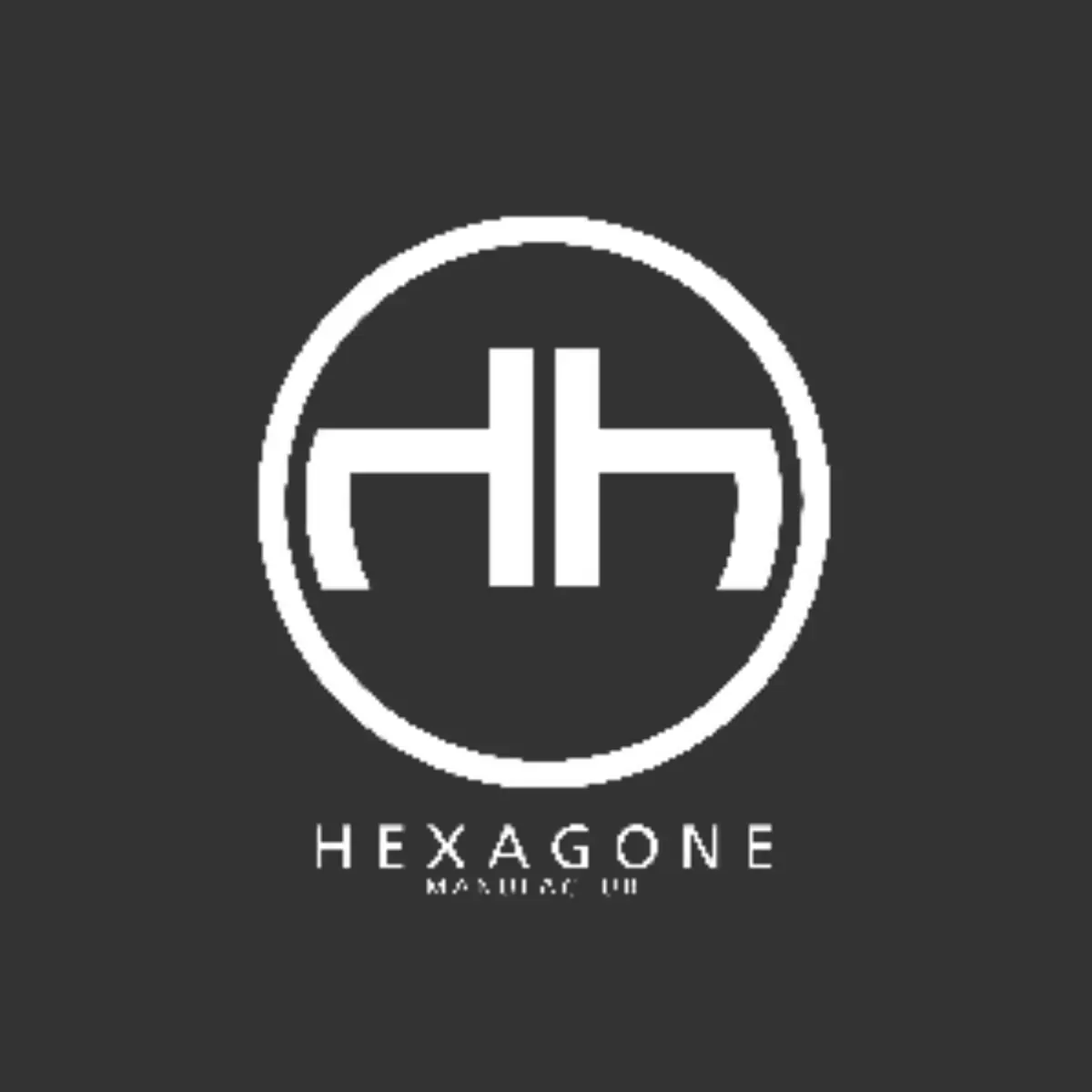 Logo_HEXAGONE