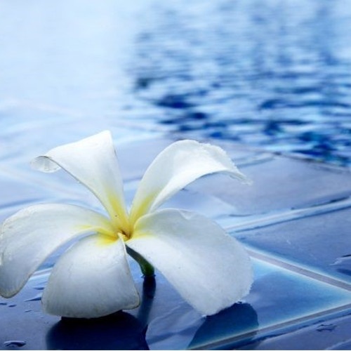 Piscine Global : toutes les nouveautés de cette édition 2016