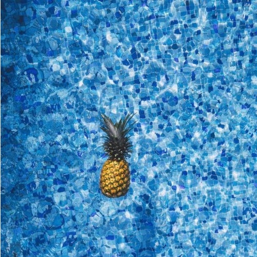 Tendance en France et à l’étranger, la mini-piscine s’installe partout Tendance en France et à l’étranger, la mini-piscine s’installe partout