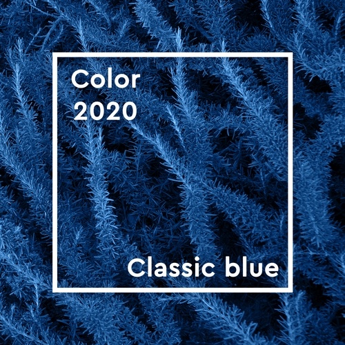 Couleur Pantone 2020